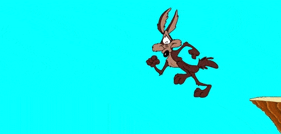 wile e coyote in air