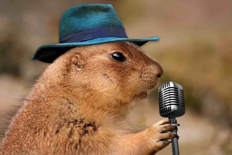 Prairie Dog on the Mic